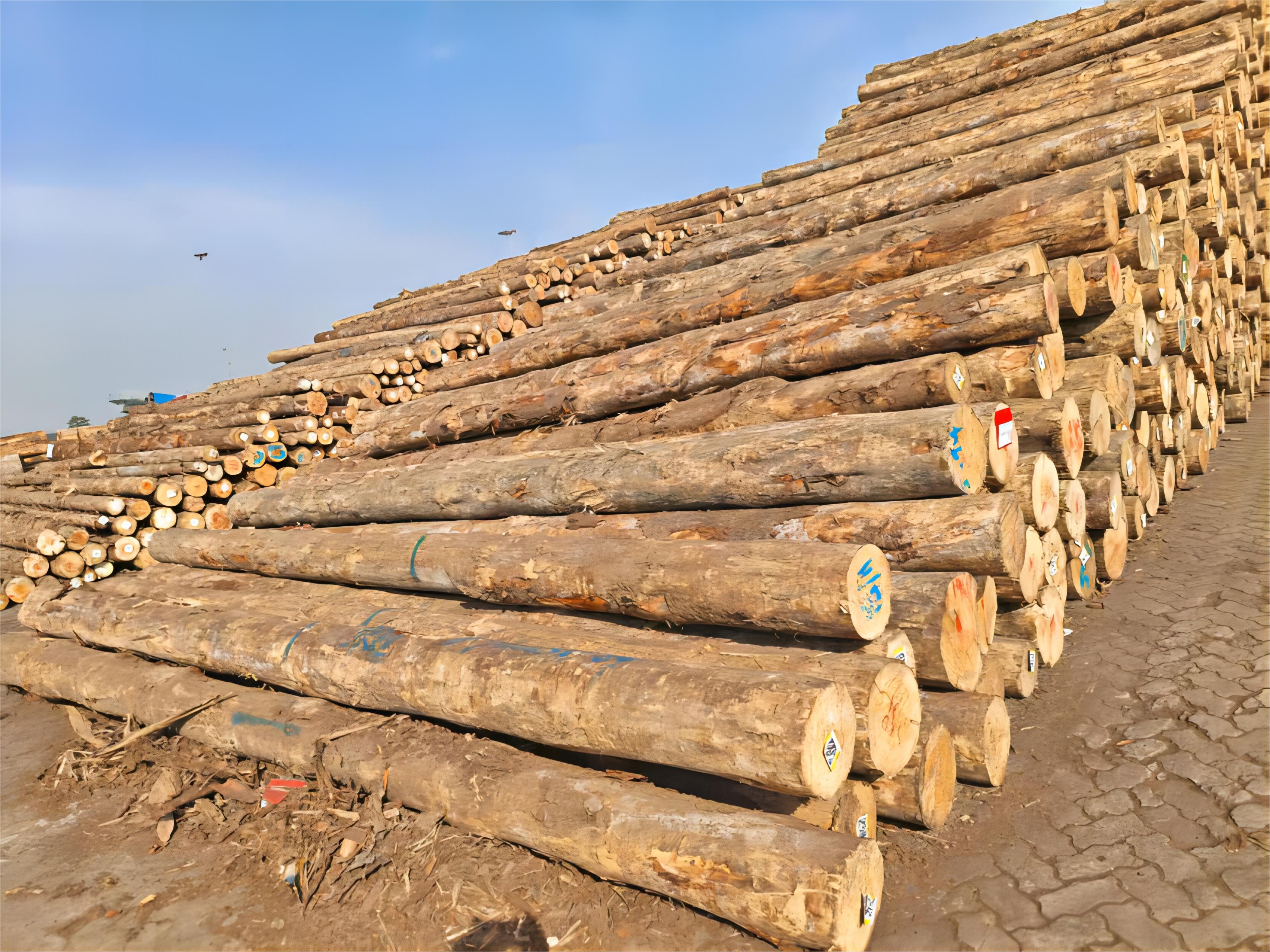 赢多多(中国区)官网 -手机版APP下载站