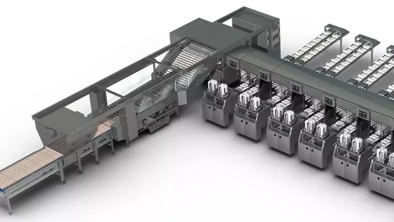 赢多多(中国区)官网 -手机版APP下载站